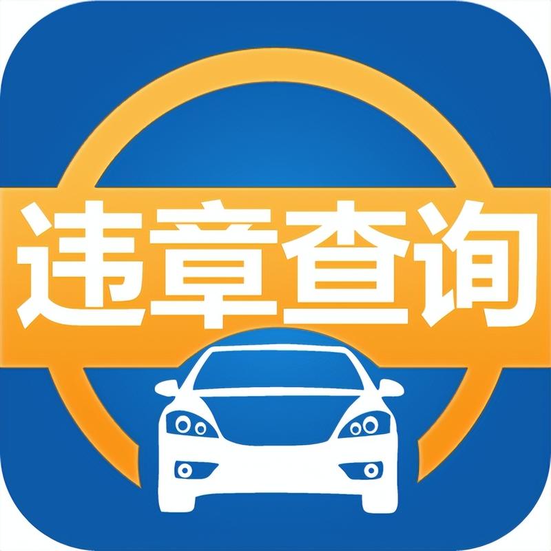山东省交通违章查询网(山东交通违章查询平台)