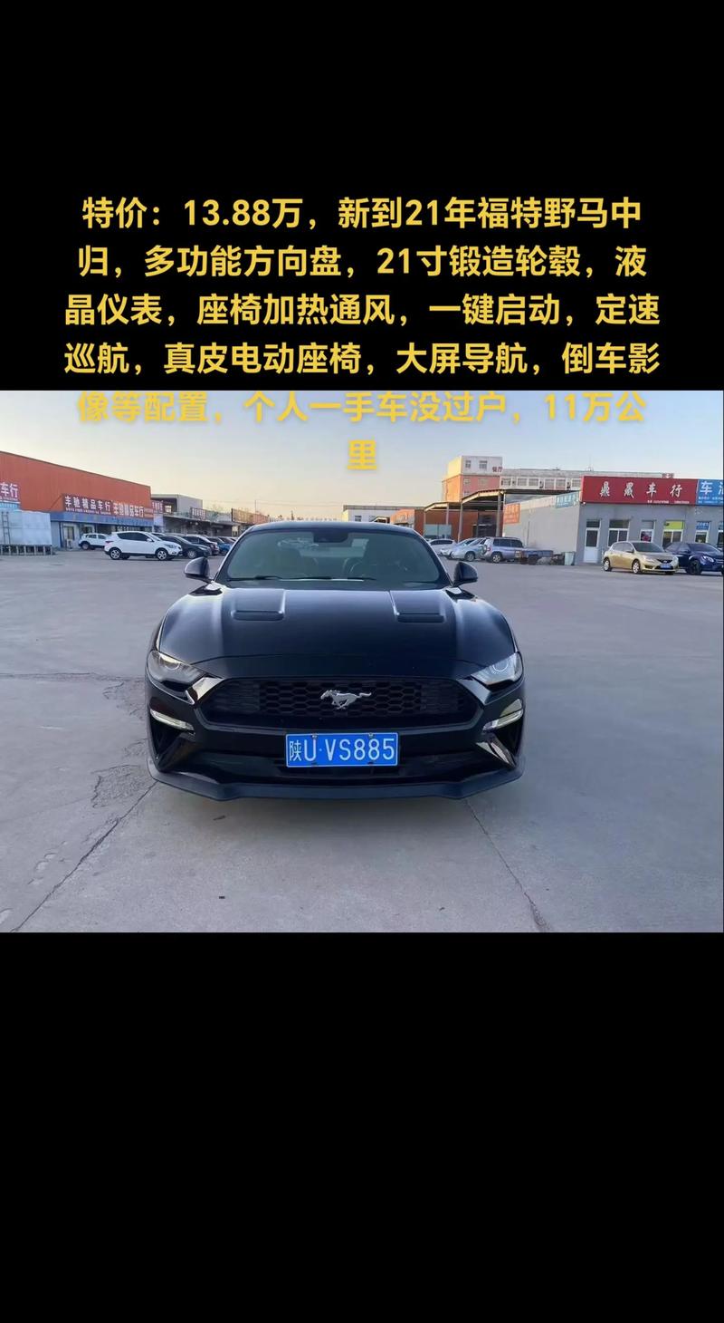 【福特野马图片大全,福特野马汽车的图片和价格图片】