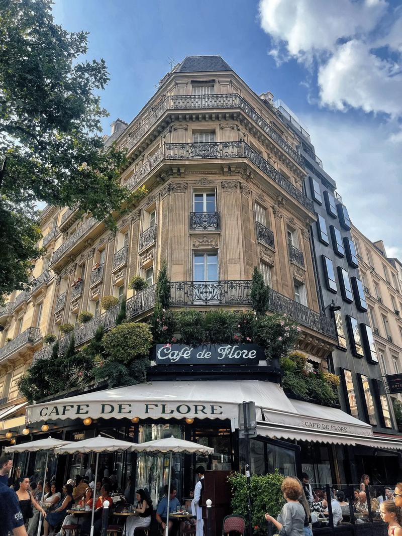 塞纳河畔左岸的咖啡我手一杯品尝你的美 塞纳河畔左岸的咖啡这是什么歌