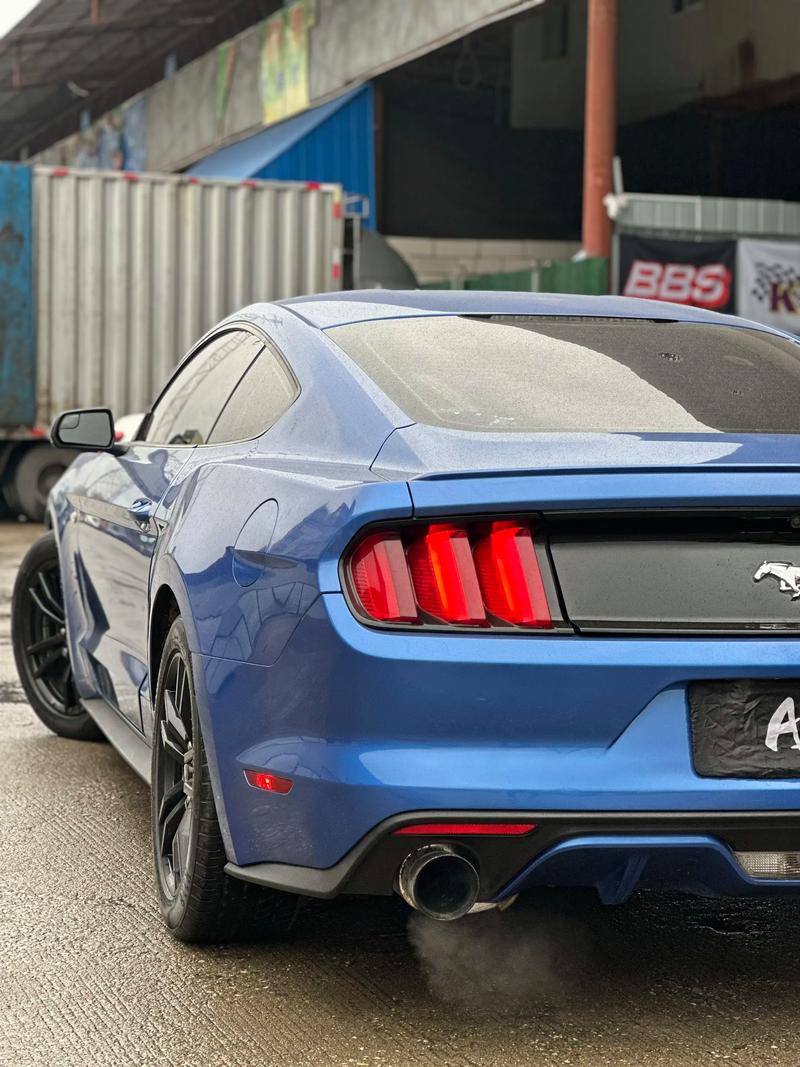 【野马车怎么样质量口碑,野马车怎么样质量口碑好】